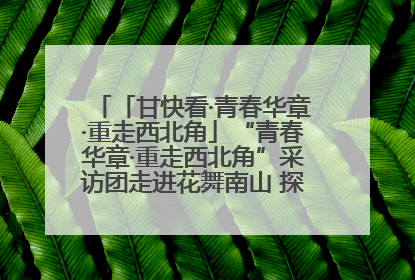 「甘快看·青春华章·重走西北角」“青春华章·重走西北角”采访团走进花舞南山 探寻天水乡村振兴之路