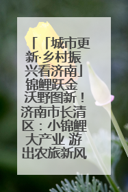 「城市更新·乡村振兴看济南」锦鲤跃金 沃野图新！济南市长清区：小锦鲤大产业 游出农旅新风景