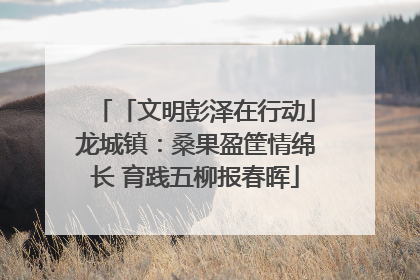 「文明彭泽在行动」龙城镇：桑果盈筐情绵长 育践五柳报春晖
