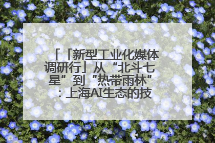「新型工业化媒体调研行」从“北斗七星”到“热带雨林”：上海AI生态的技术商业共生密码
