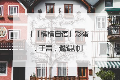 「楠楠自语」彩蛋，手雷，邋遢帅