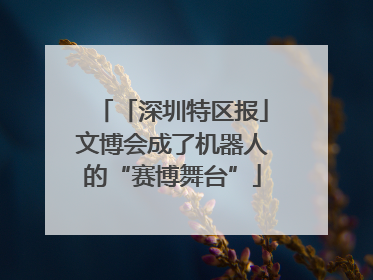 「深圳特区报」文博会成了机器人的“赛博舞台”