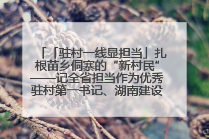 「驻村一线显担当」扎根苗乡侗寨的“新村民”——记全省担当作为优秀驻村第一书记、湖南建设投资集团李磊