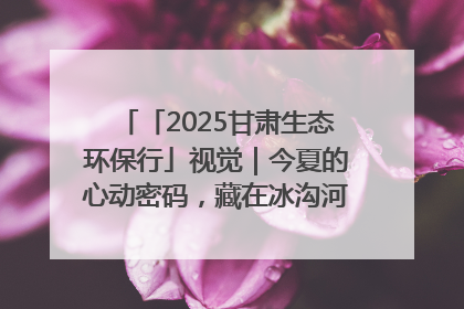 「2025甘肃生态环保行」视觉｜今夏的心动密码，藏在冰沟河的潋滟波光里