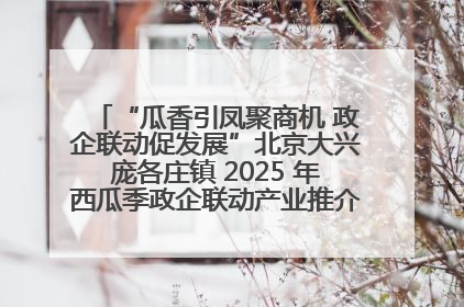 “瓜香引凤聚商机 政企联动促发展”北京大兴庞各庄镇 2025 年西瓜季政企联动产业推介活动圆满举行