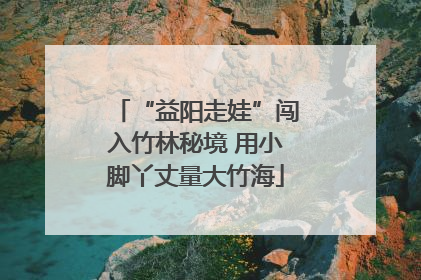 “益阳走娃”闯入竹林秘境 用小脚丫丈量大竹海