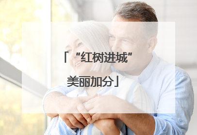 “红树进城” 美丽加分