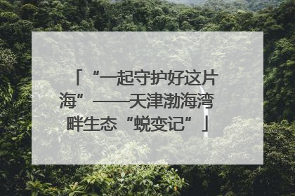 “一起守护好这片海”——天津渤海湾畔生态“蜕变记”