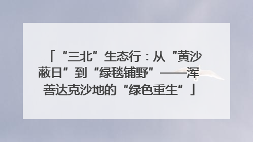 “三北”生态行：从“黄沙蔽日”到“绿毯铺野”——浑善达克沙地的“绿色重生”
