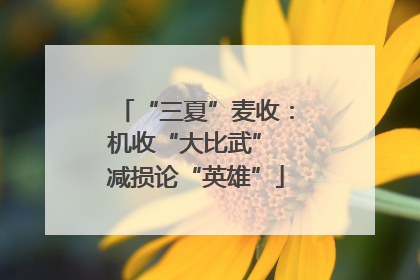 “三夏”麦收：机收“大比武” 减损论“英雄”