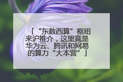 “东数西算”枢纽来沪推介，这里竟是华为云、腾讯和网易的算力“大本营”