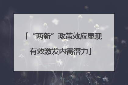 “两新”政策效应显现 有效激发内需潜力