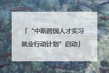 “中斯跨国人才实习就业行动计划”启动