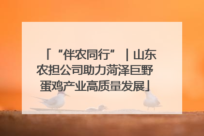 “伴农同行”｜山东农担公司助力菏泽巨野蛋鸡产业高质量发展