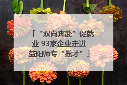“双向奔赴”促就业 93家企业走进益阳师专“揽才”