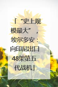 “史上规模最大”，埃尔多安：向印尼出口48架第五代战机
