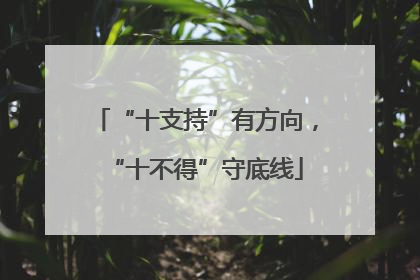 “十支持”有方向，“十不得”守底线
