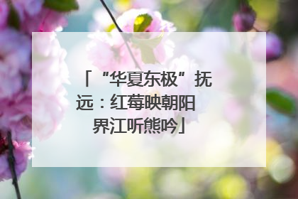 “华夏东极”抚远：红莓映朝阳 界江听熊吟