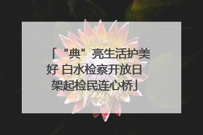 “典”亮生活护美好 白水检察开放日架起检民连心桥