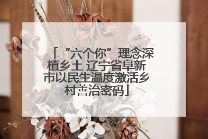 “六个你”理念深植乡土 辽宁省阜新市以民生温度激活乡村善治密码