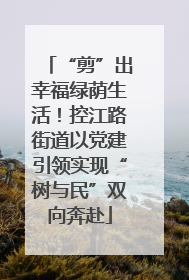 “剪”出幸福绿荫生活！控江路街道以党建引领实现“树与民”双向奔赴