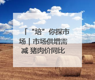 “培”你探市场｜市场供增需减 猪肉价同比降3元 未来40天便宜猪肉敞开吃