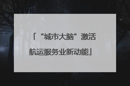 “城市大脑”激活航运服务业新动能