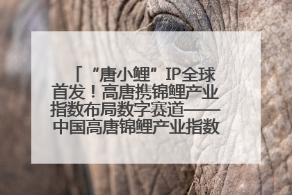 “唐小鲤”IP全球首发！高唐携锦鲤产业指数布局数字赛道——中国高唐锦鲤产业指数暨“唐小鲤”IP全球首发仪式在杭州举行