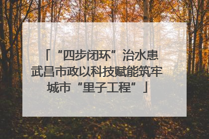 “四步闭环”治水患 武昌市政以科技赋能筑牢城市“里子工程”