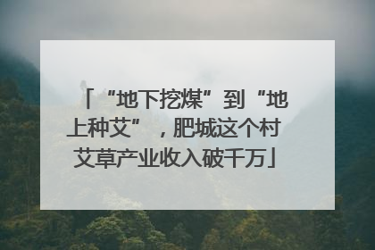 “地下挖煤”到“地上种艾”，肥城这个村艾草产业收入破千万