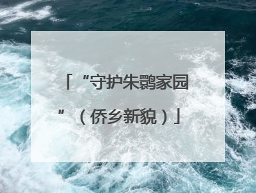 “守护朱鹮家园”（侨乡新貌）