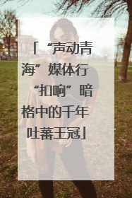 “声动青海”媒体行“扣响”暗格中的千年吐蕃王冠