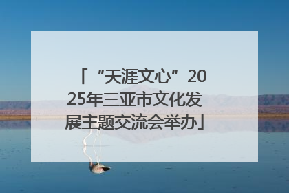 “天涯文心”2025年三亚市文化发展主题交流会举办