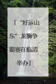 “好运山东”龙狮争霸赛在临清举办