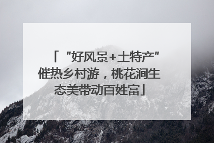“好风景+土特产”催热乡村游，桃花涧生态美带动百姓富