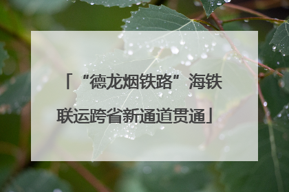 “德龙烟铁路”海铁联运跨省新通道贯通