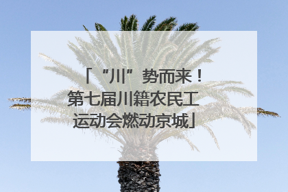 “川”势而来！第七届川籍农民工运动会燃动京城