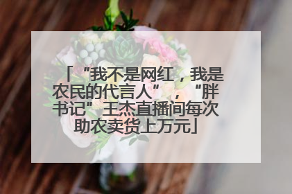 “我不是网红，我是农民的代言人”，“胖书记”王杰直播间每次助农卖货上万元