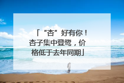 “杏”好有你！杏子集中登鹭，价格低于去年同期