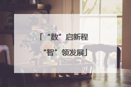 “数”启新程 “智”领发展