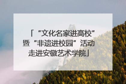 “文化名家进高校”暨“非遗进校园”活动走进安徽艺术学院