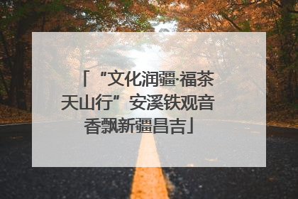 “文化润疆·福茶天山行”安溪铁观音香飘新疆昌吉