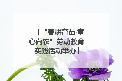 “春耕育苗·童心向农”劳动教育实践活动举办