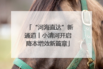 “河海直达”新通道丨小清河开启降本增效新篇章
