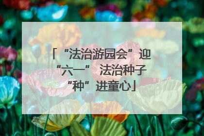 “法治游园会”迎“六一” 法治种子“种”进童心