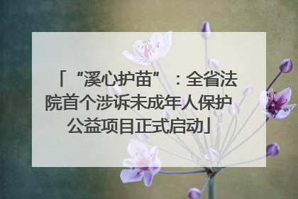 “溪心护苗”：全省法院首个涉诉未成年人保护公益项目正式启动