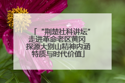 “荆楚社科讲坛”走进革命老区黄冈 探源大别山精神内涵特质与时代价值
