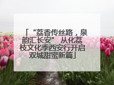 “荔香传丝路，泉韵汇长安” 从化荔枝文化季西安行开启双城甜蜜新篇