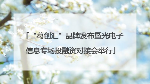 “葛创汇”品牌发布暨光电子信息专场投融资对接会举行