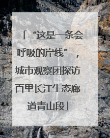 “这是一条会呼吸的岸线”，城市观察团探访百里长江生态廊道青山段